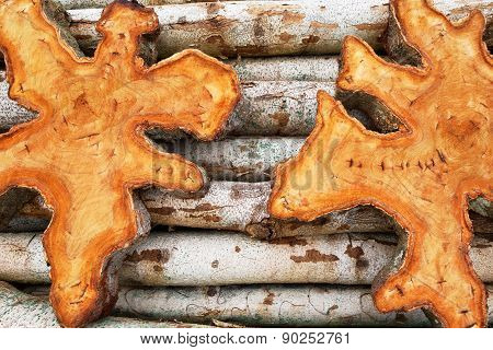 Natural Tropical Teak Wood Logs Background