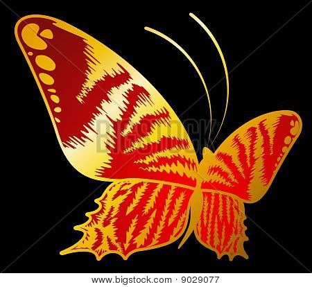 Resumen hermosa mariposa