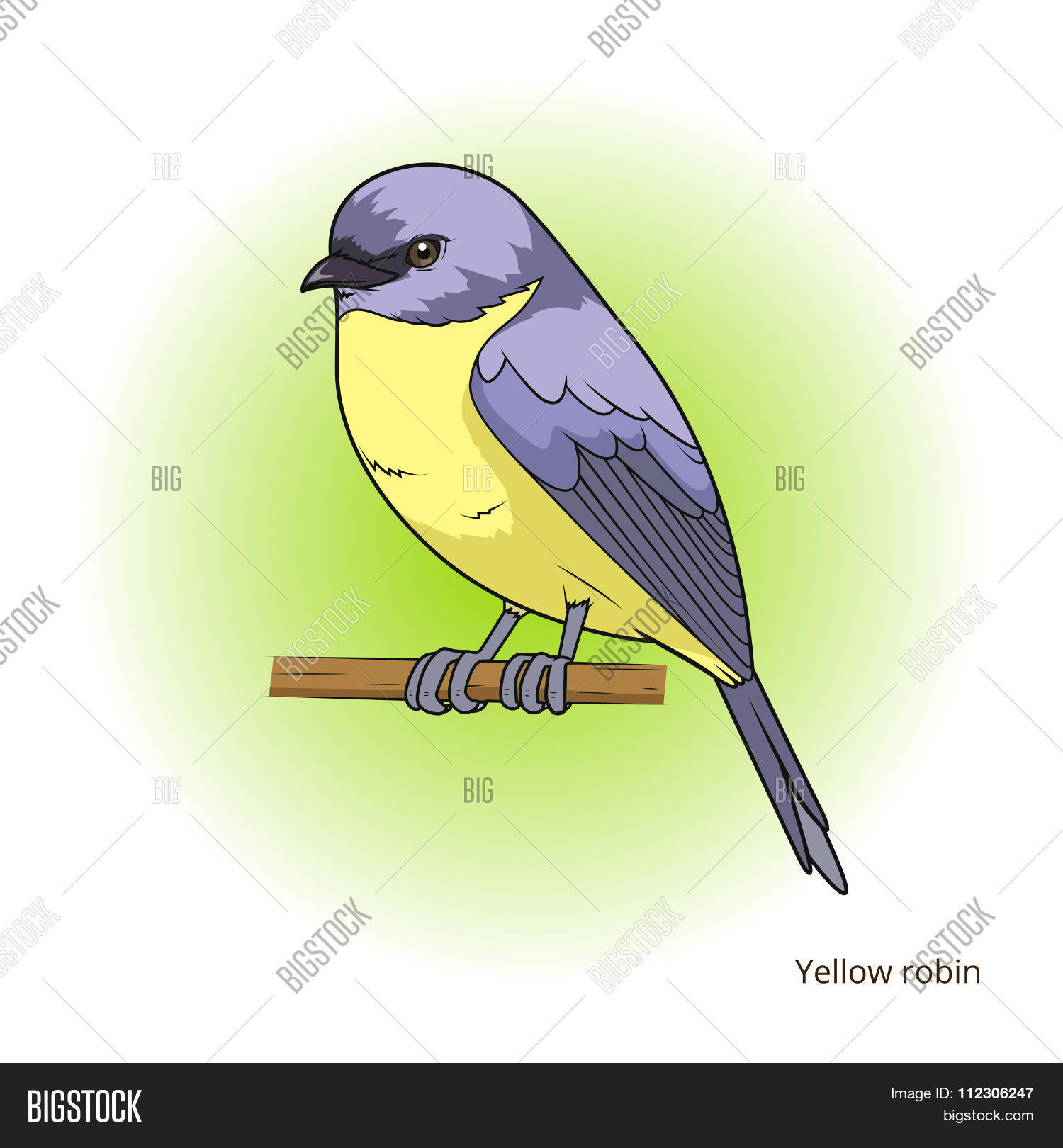 Image Preview