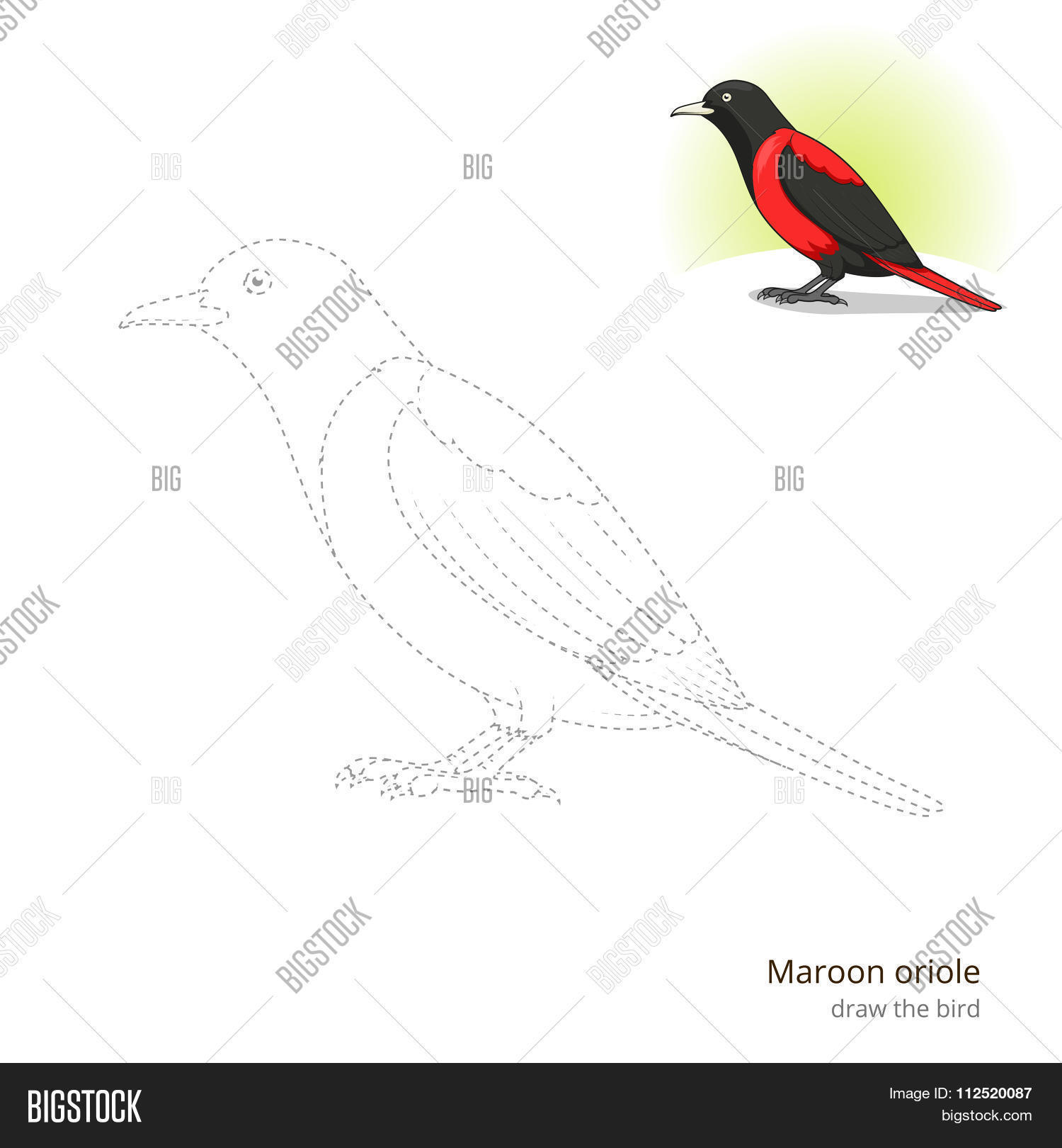 Image Preview