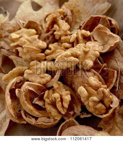 Walnuts without shell and nutshell