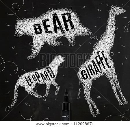 Tangled Line Bear
