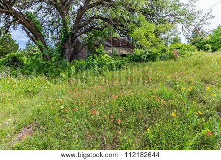 Hidden Old Abandoned Shack In Texas