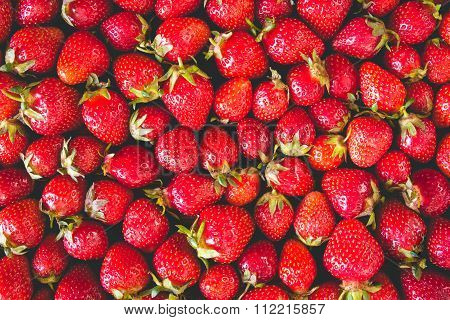 Fresh Strawberry toned Background
