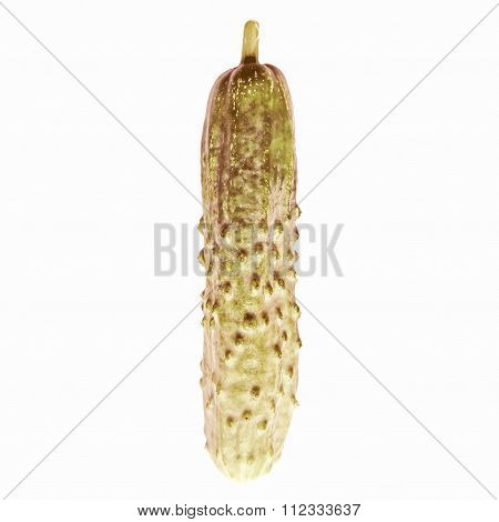 Retro Looking Cucumber Isolated