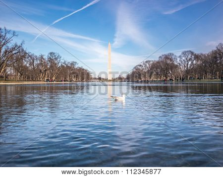 Swiming in the Washington monument