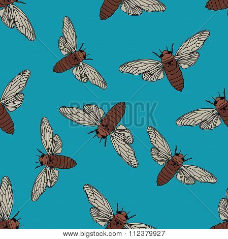 Seamless Pattern With Cicada . Cicadidae. Chremistica Umbrosa.     Hand-drawn Cicada . Vector
