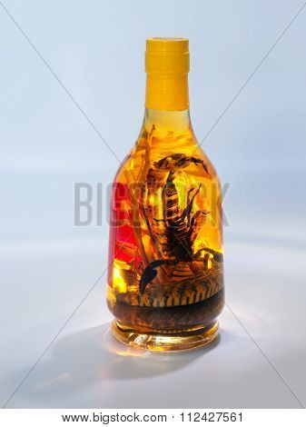 Snake And Scorpion In A Bottle