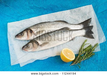 Fresh Sea Bass
