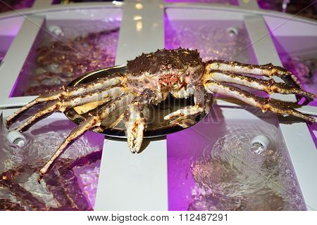 A Huge King Crab On The Tray
