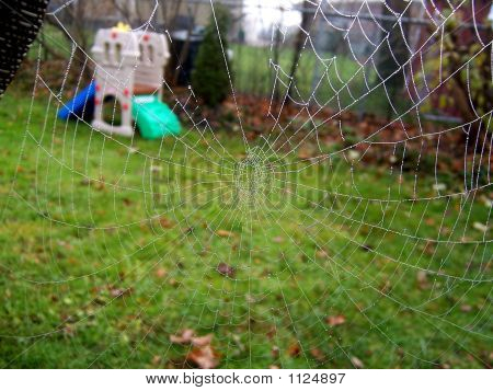Web 
