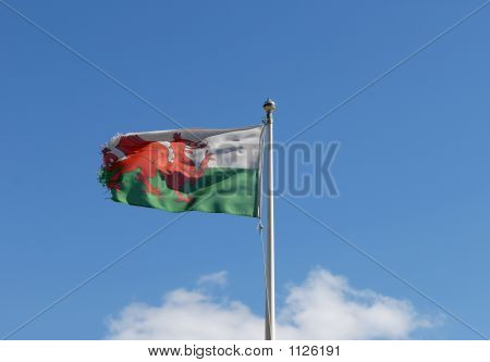Flagwales