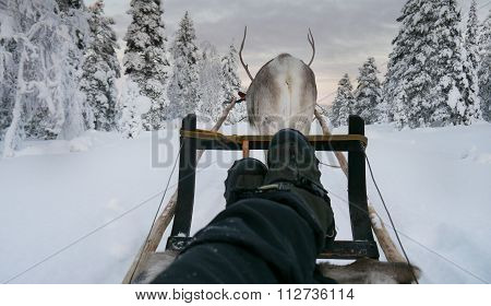 Slow transportation