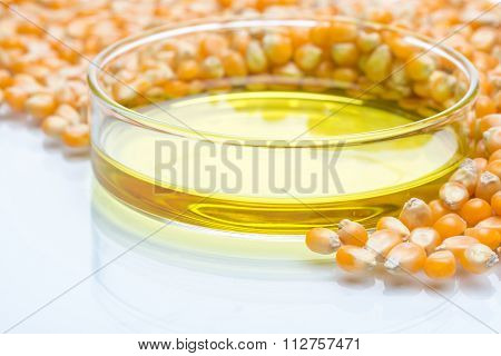 Research Corn Energy, Biofuel And Gmo In Laboratory
