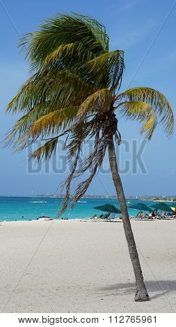 Eagle Beach in Oranjestad, Aruba