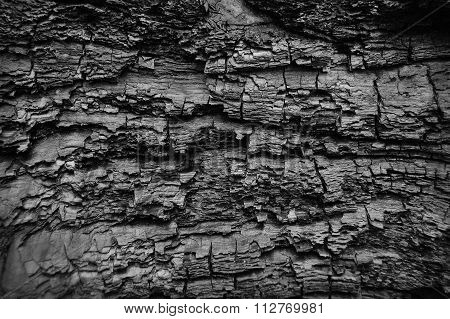 Abstract burn wood background