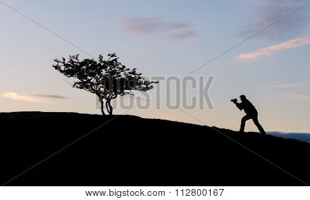 Photographer with camera in silhouette taking photo of tree on horizon against sunset