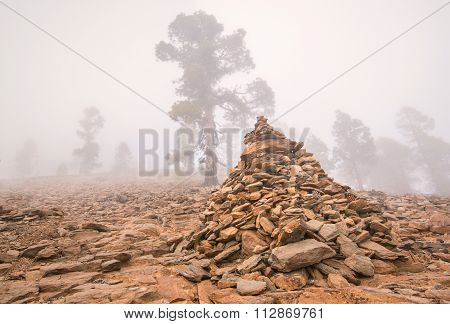 Foggy scenary in Vilaflor mountain Tenerife Canary island Spain.