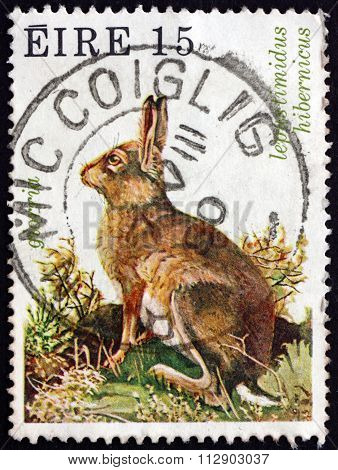 Postage Stamp Ireland 1980 Irish Mountain Hare