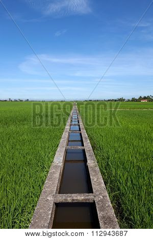 Vertical image of water canal at the paddy field