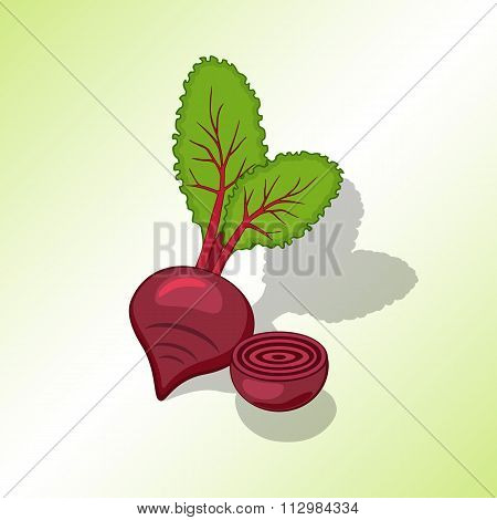 Beet, beetroot icon. Vegetables with leaves. Colored symbol and shadow on light green backdround. Ve