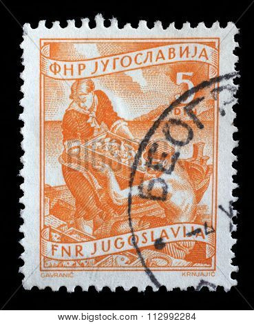 YUGOSLAVIA - CIRCA 1952: A stamp printed in Yugoslavia shows as woman helps a fisherman unload fish, domestic economy Series, circa 1952