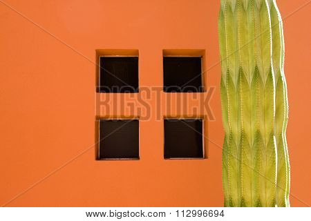 Desert Architecture