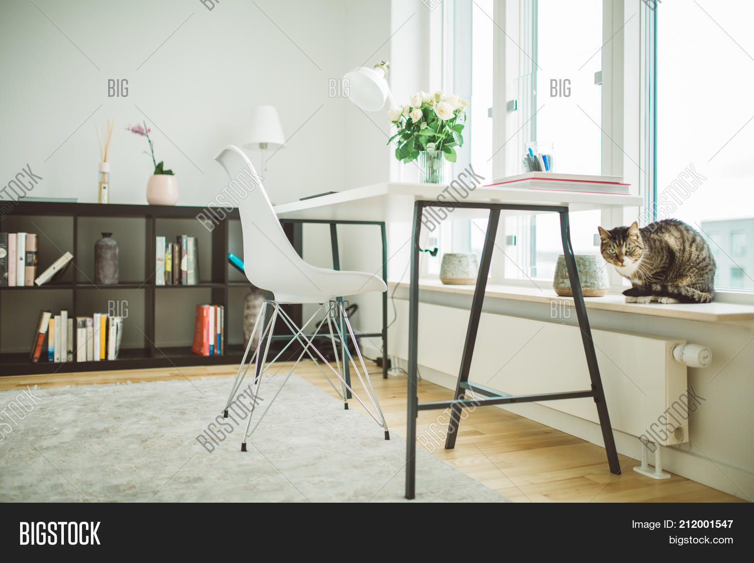 Clean Contemporary Image Photo Free Trial Bigstock