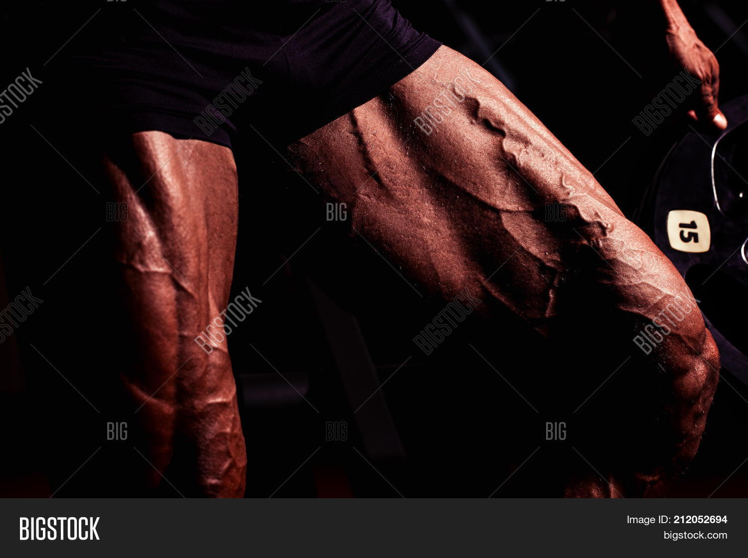 Image Preview