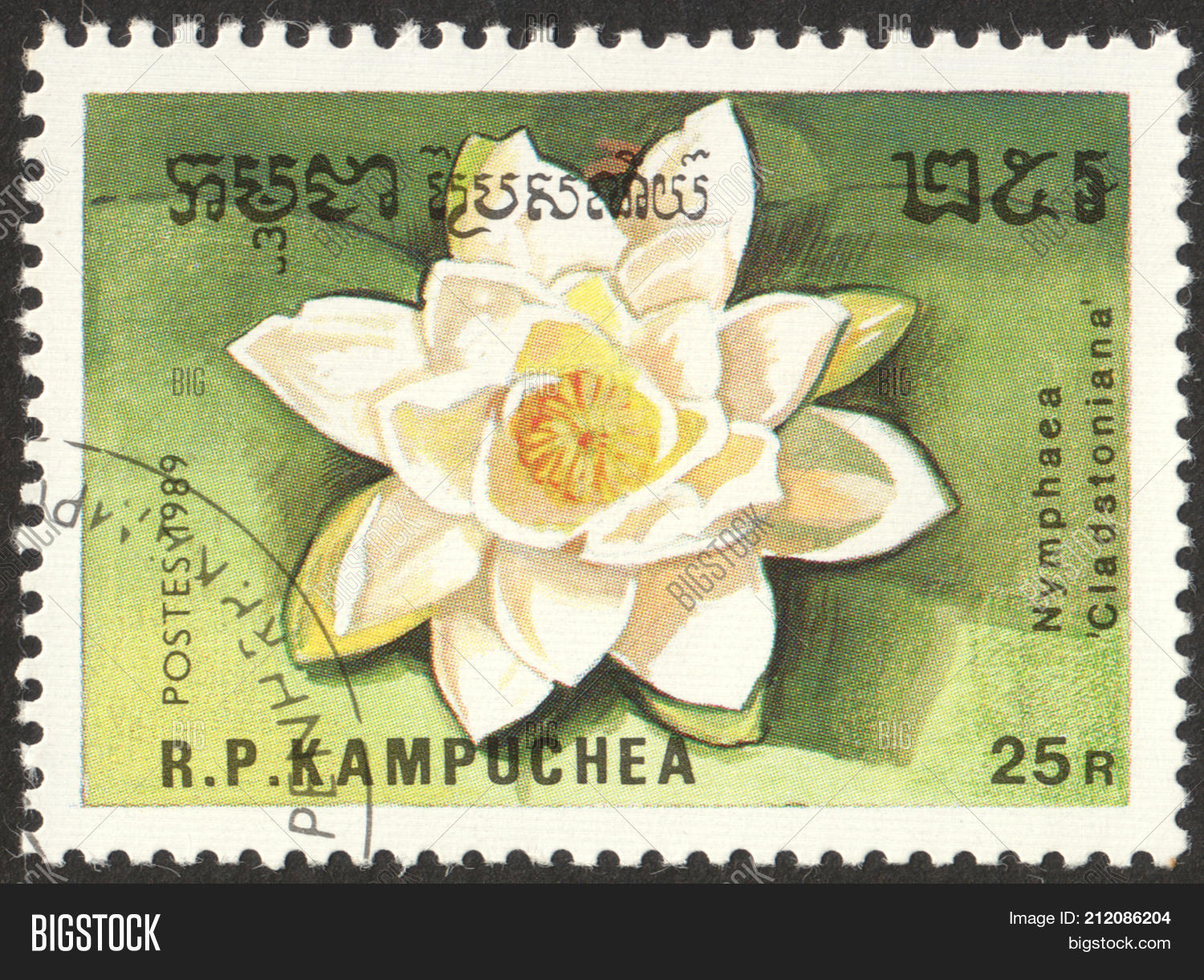 Image Preview