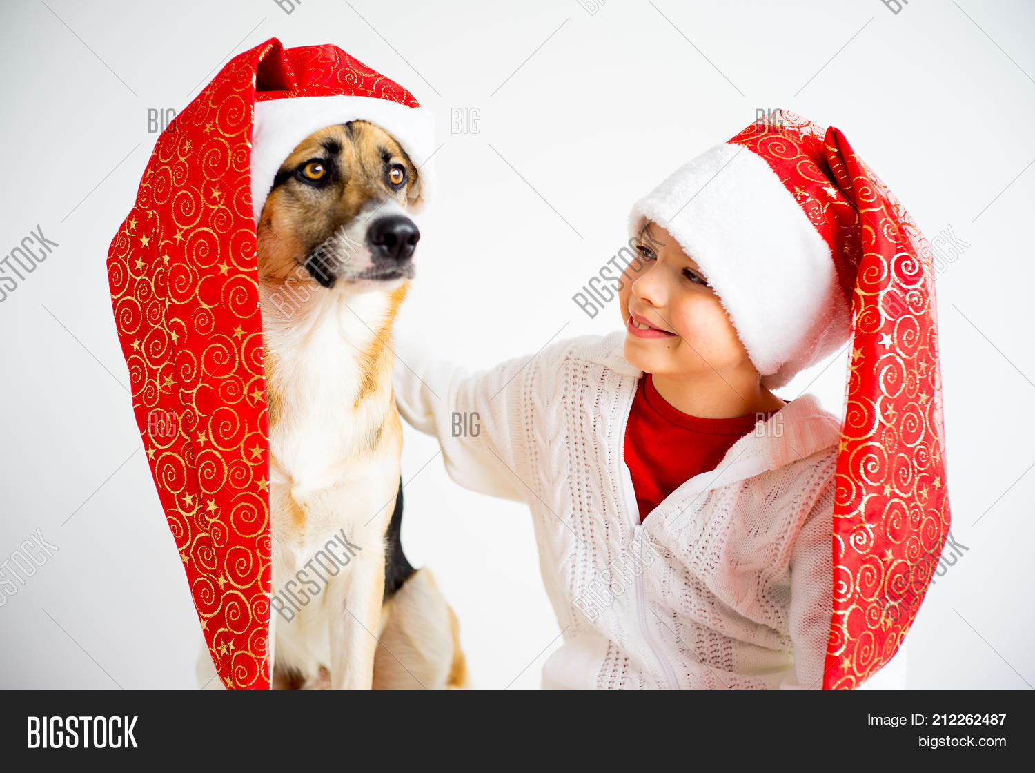Image Preview