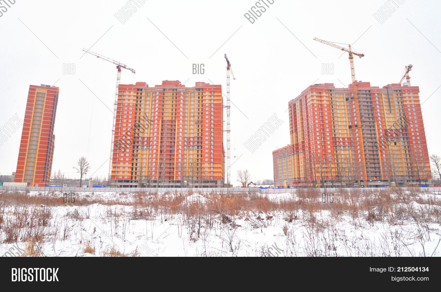 Image Preview