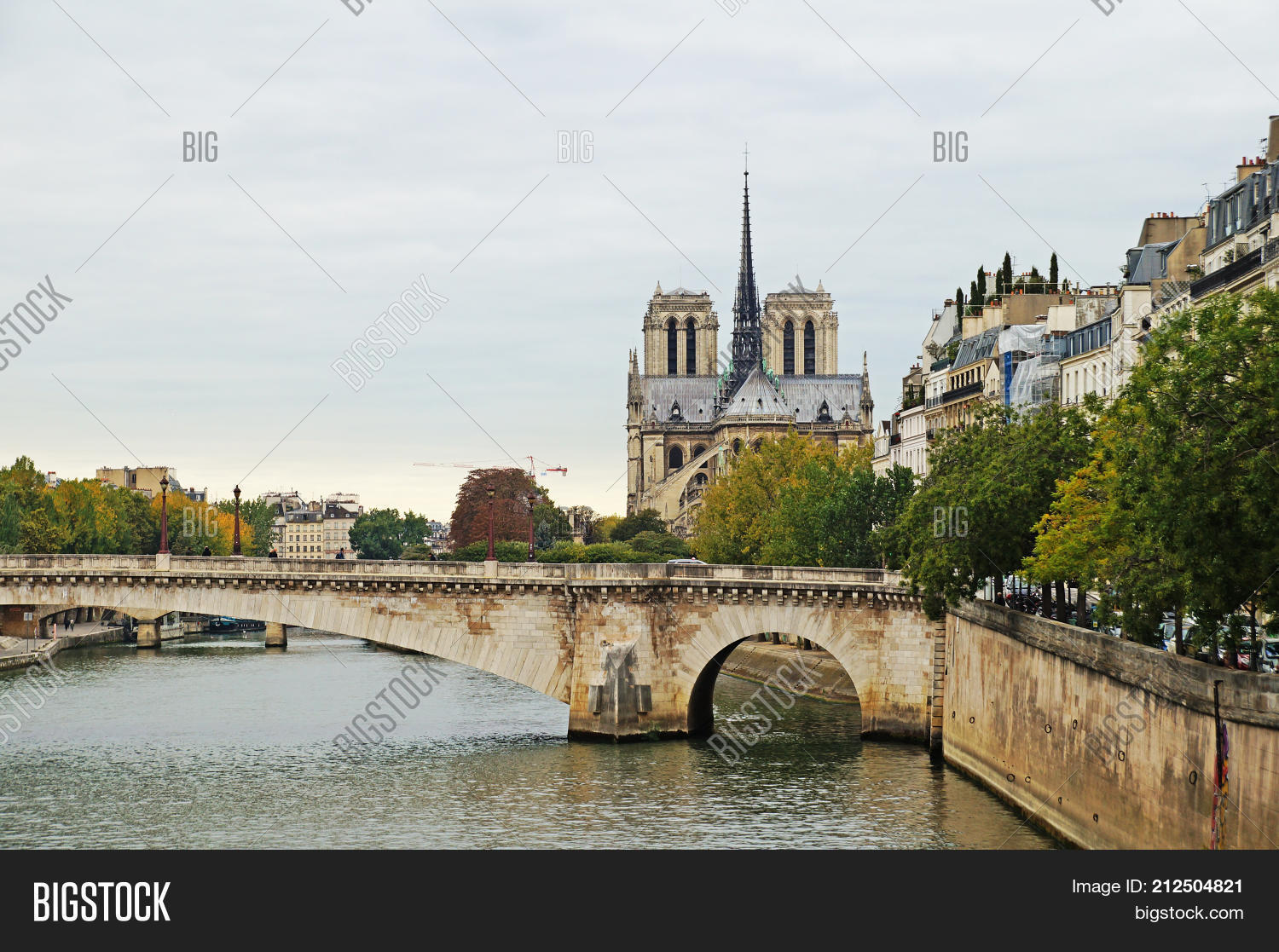 Image Preview