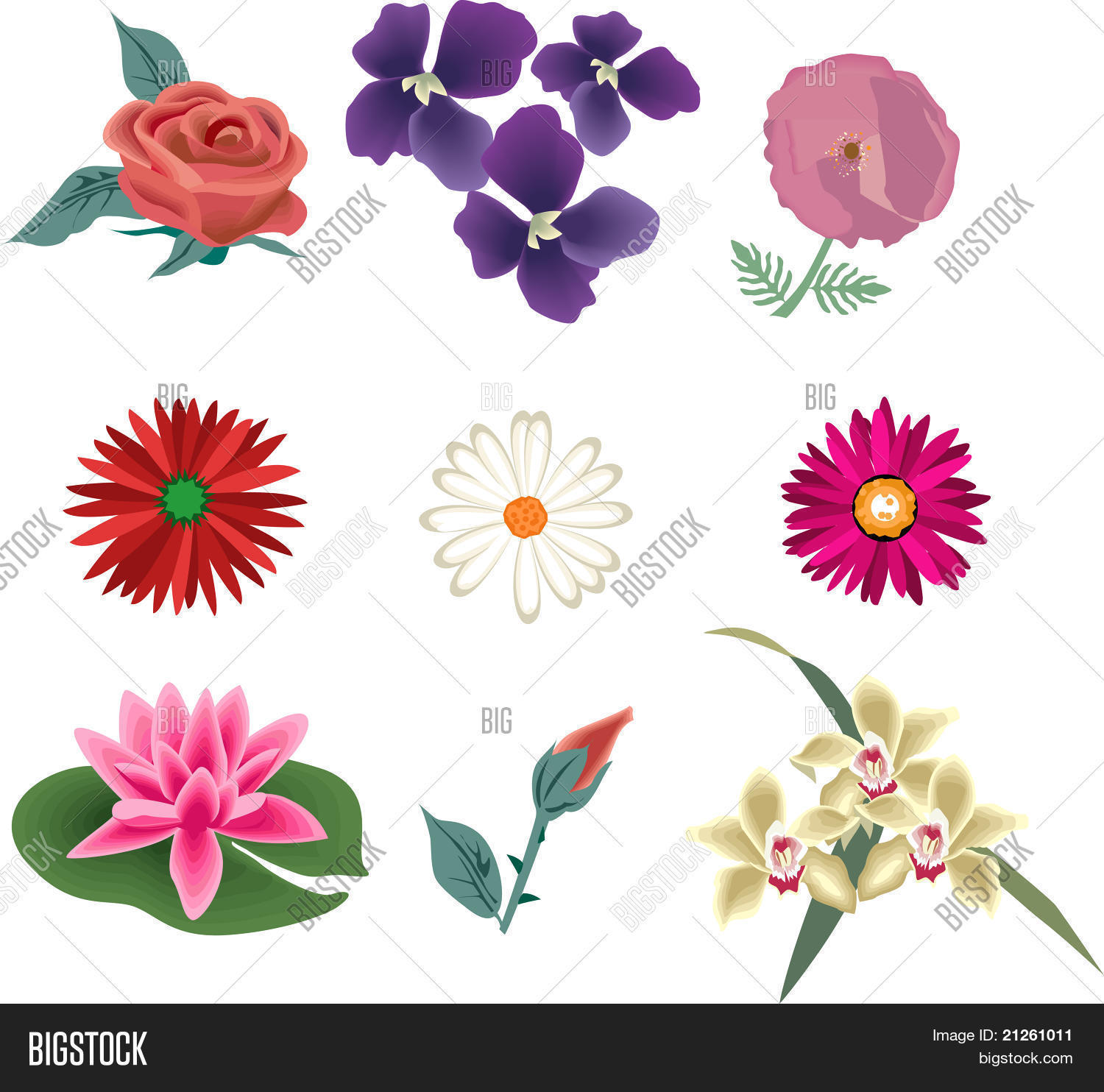 Image Preview