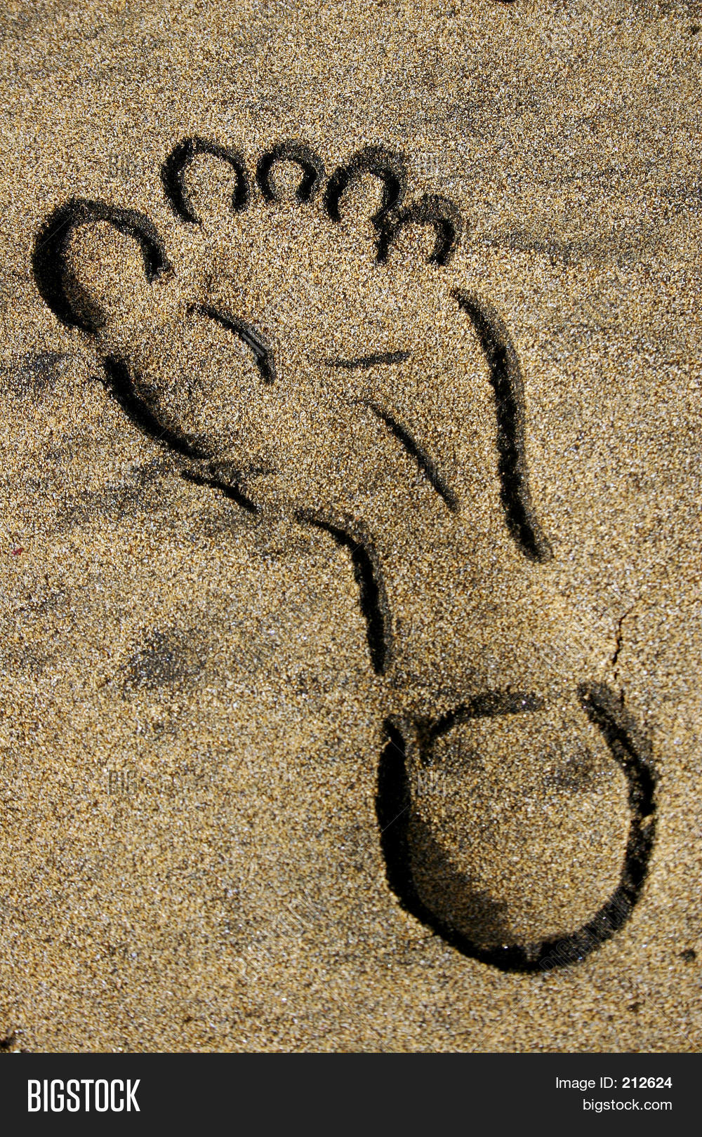 Footprint Image Photo (Free Trial) Bigstock