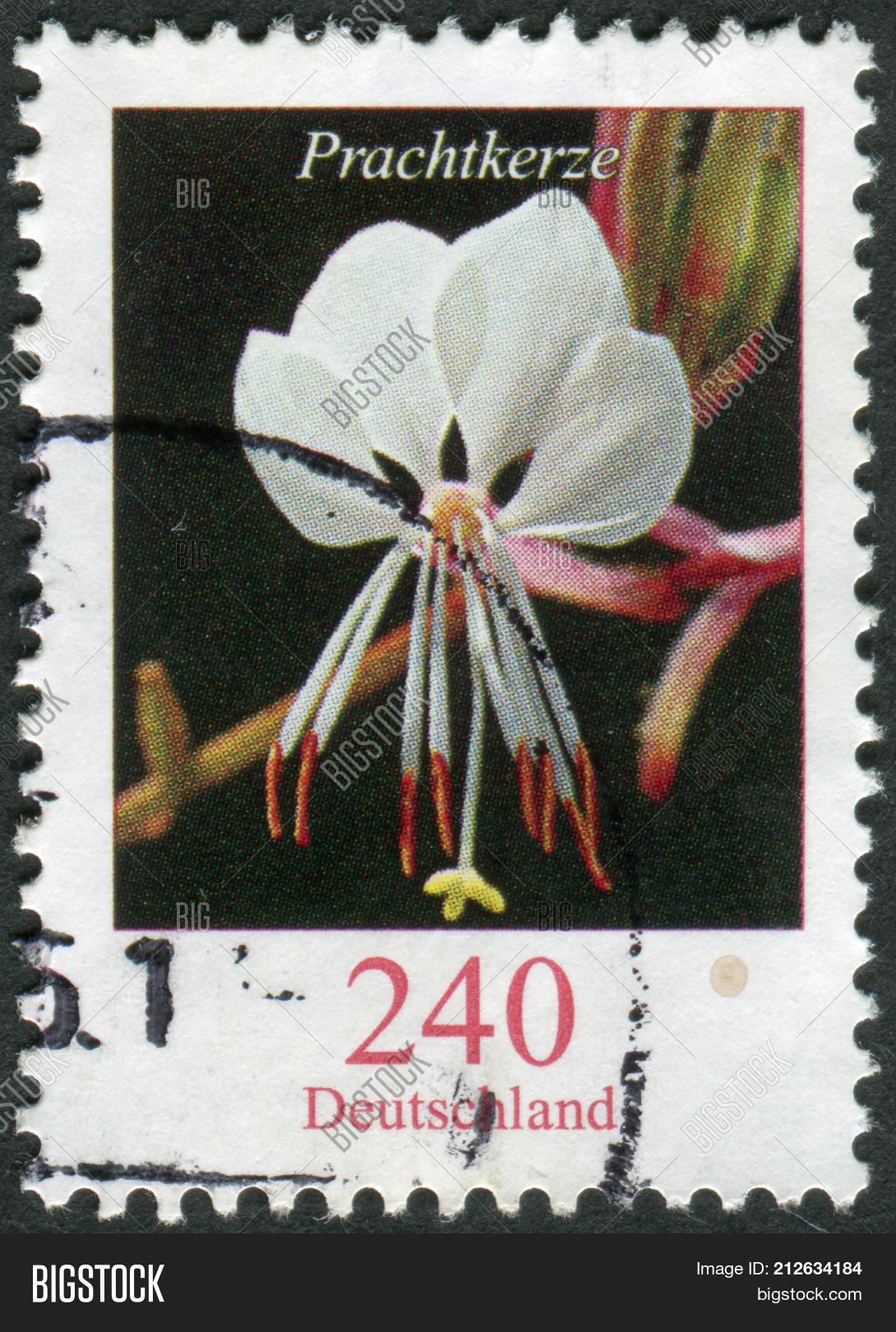 Image Preview
