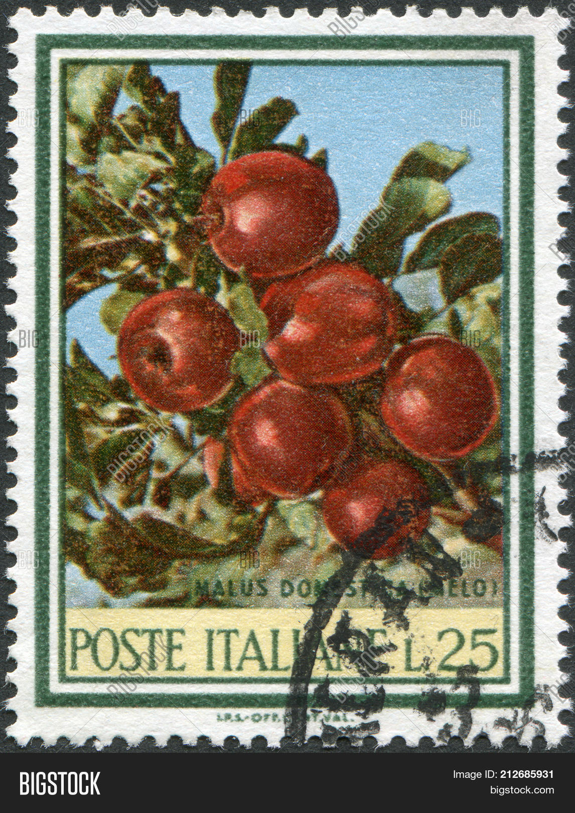 Image Preview
