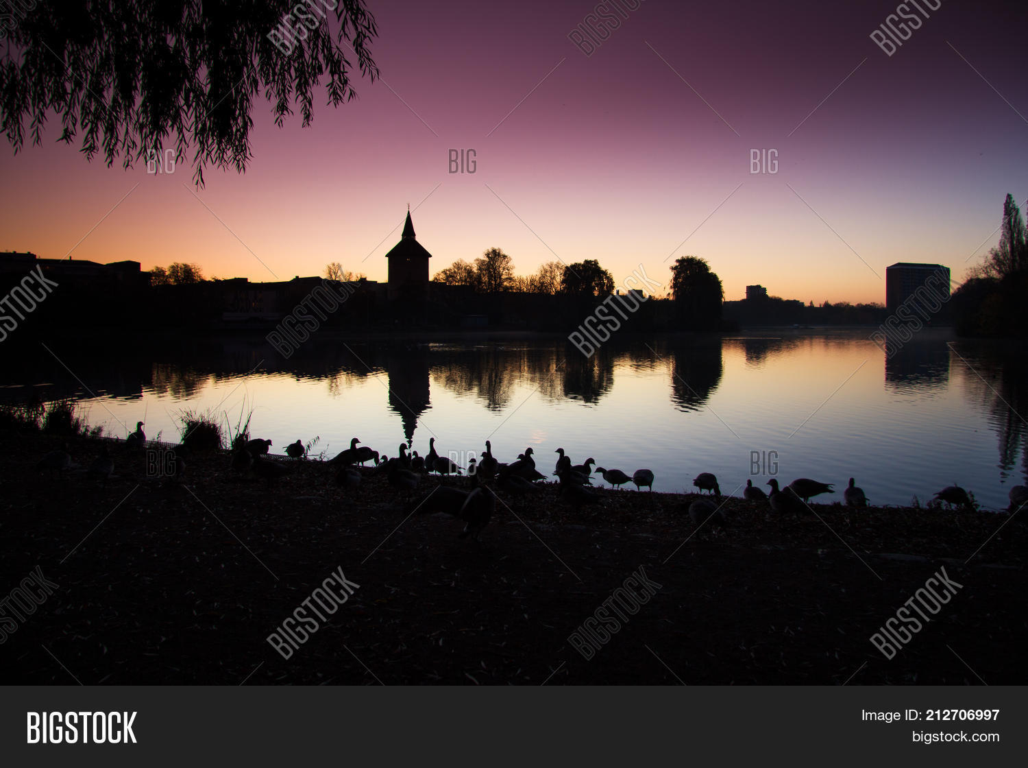 Image Preview