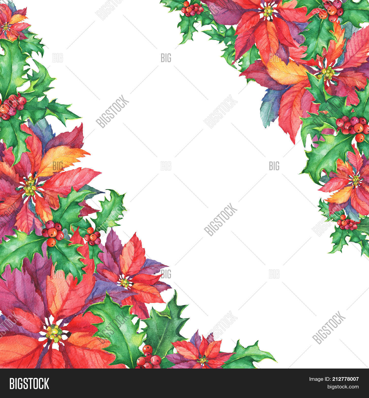 border with a poinsettia holly winter holiday traditional christmas decoration for greeting