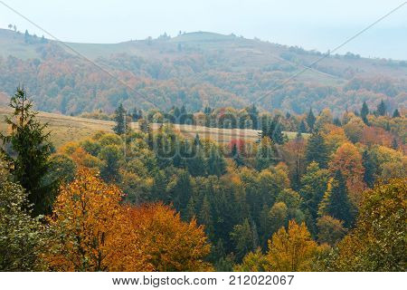 Autumn Carpathians (ukraine).