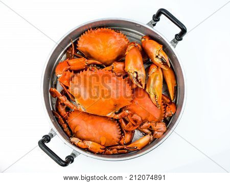 Top view of Scylla serrata. Steamed crab in a pot isolated on white background with copy space. Seafood restaurants concept.