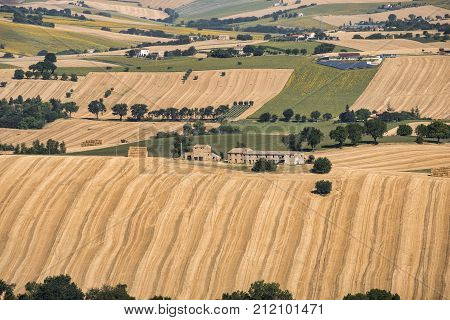 Rural landscape along the road from Filottrano to Appignano (Ancona Marches Italy) at summer.