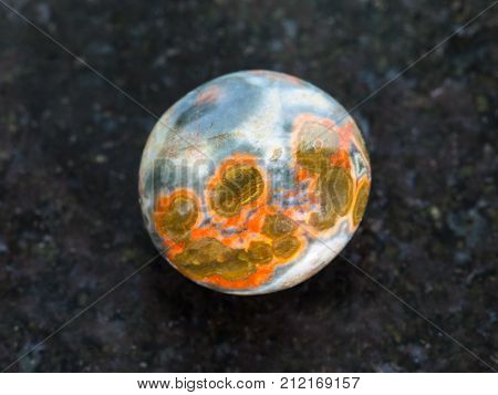 Polished Orbicular Jasper Gemstone On Dark