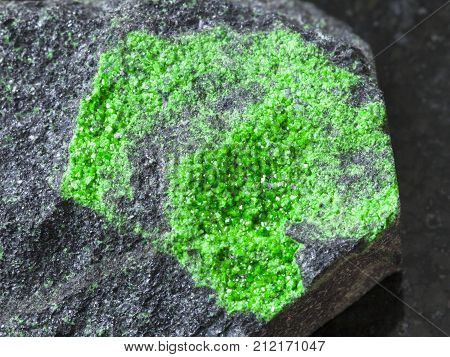 Crystals Of Uvarovite On Rock Close Up