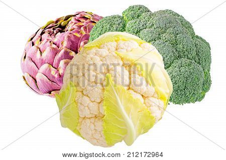 Isolated vegetables. fresh artichoke cauliflower and broccoli isolated on white background for package design.