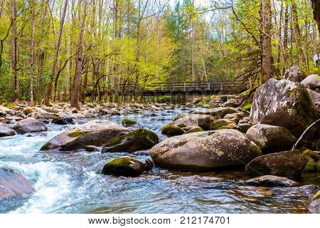 Forest river. Water cascades over rocks in Great Smoky Mountains National Park USA