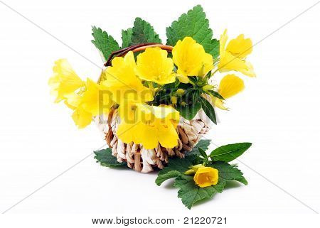 flores amarelas no cesto