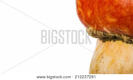 red zucchini on white background close up