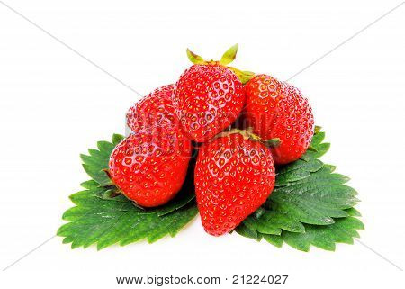 morangos