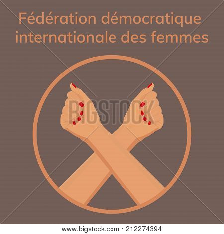 Female Woman Feminism Protest